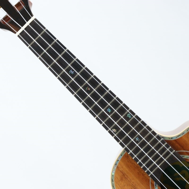 BIG ISLAND USED 中古 KSX-CTG Concert ビッグアイランド 画像6