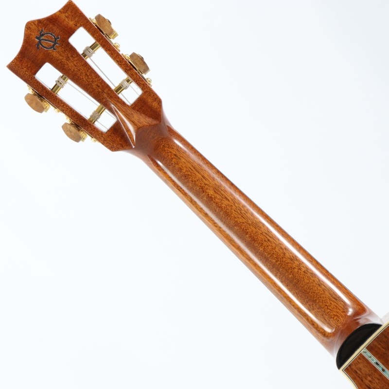 BIG ISLAND USED 中古 KSX-CTG Concert ビッグアイランド 画像7
