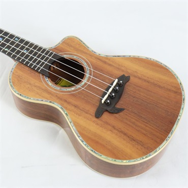 BIG ISLAND USED 中古 KSX-CTG Concert ビッグアイランド 画像8