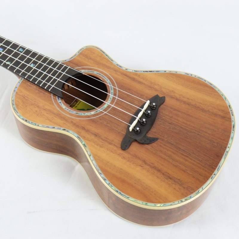 BIG ISLAND USED 中古 KSX-CTG Concert ビッグアイランド 画像8