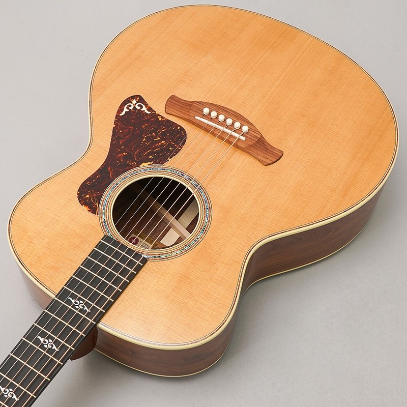 TAYLOR Gold Label 814e テイラー 画像4