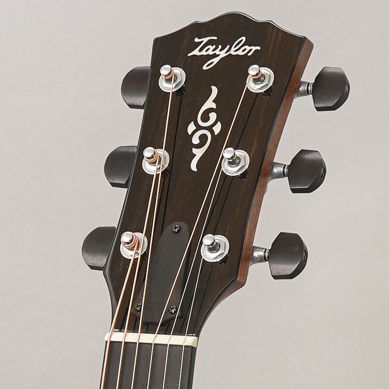 TAYLOR Gold Label 814e テイラー 画像10