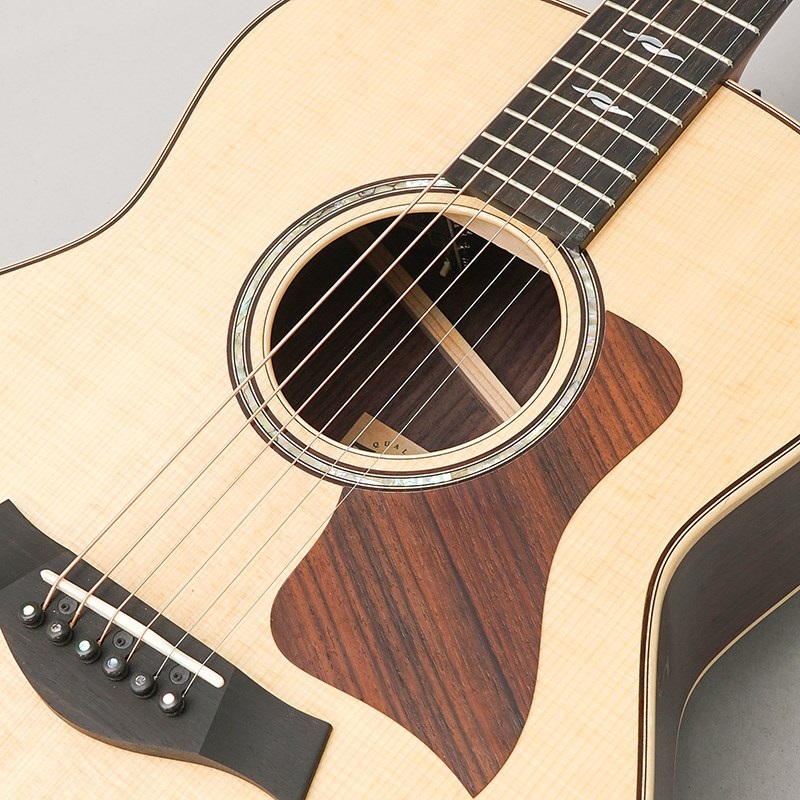 TAYLOR GT 811e テイラー 画像6