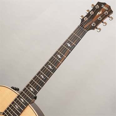 TAYLOR GT 811e テイラー 画像8