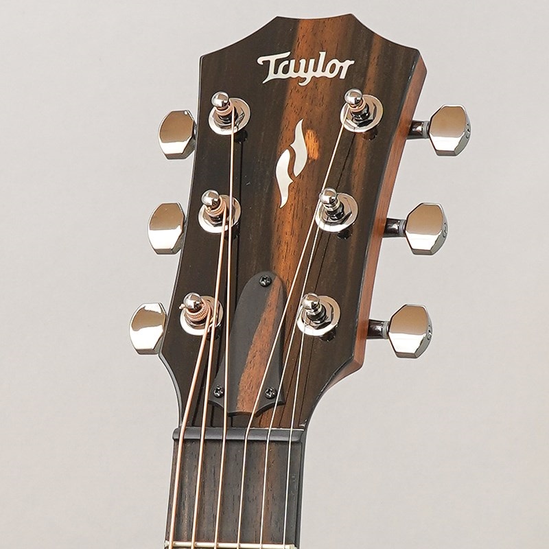 TAYLOR GT 811e テイラー 画像10