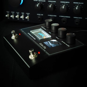Echo Fix EF-P2 Spring Reverb Pedal（スプリングリバーブ
