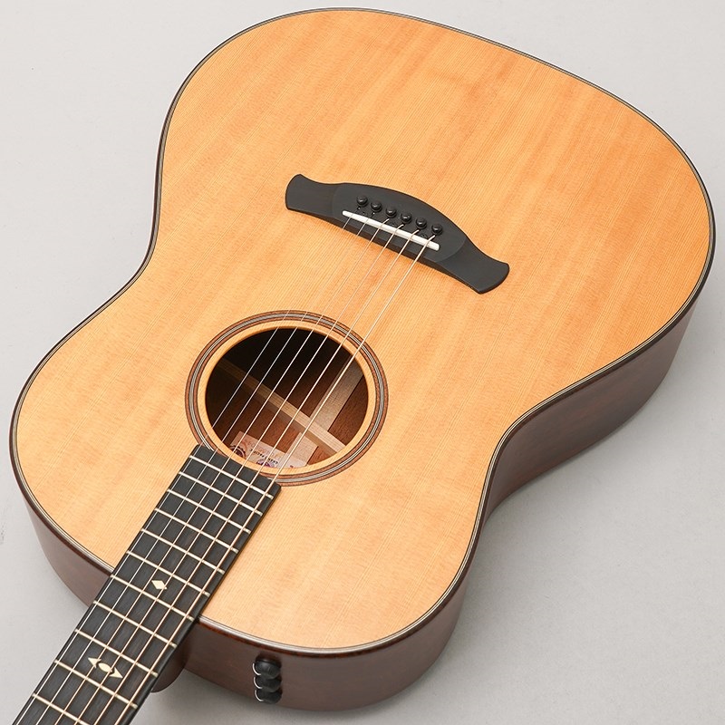 TAYLOR USED 中古 BE 517e V-Class '19 テイラー 画像4