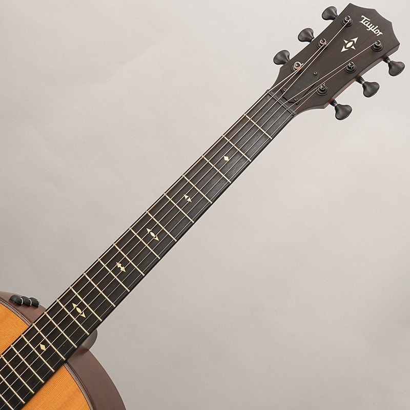 TAYLOR USED 中古 BE 517e V-Class '19 テイラー 画像8