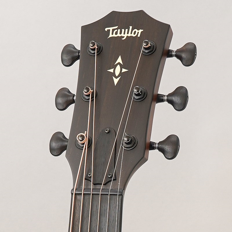 TAYLOR USED 中古 BE 517e V-Class '19 テイラー 画像10