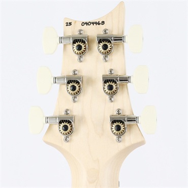 P.R.S. Swamp Ash Special Maple (McCarty Tobacco Sunburst) [SN.0404468] 【2025年生産モデル】 画像9