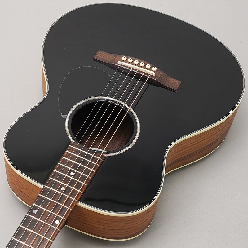 EASTMAN PCH2-TG-BK Traveler イーストマン 画像4