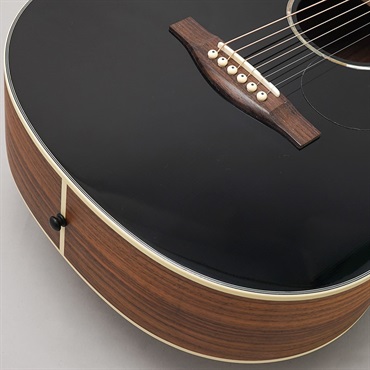 EASTMAN PCH2-TG-BK Traveler イーストマン 画像7