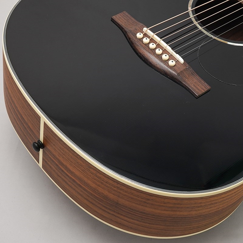 EASTMAN PCH2-TG-BK Traveler イーストマン 画像7
