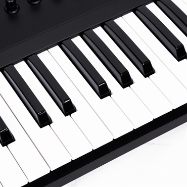 Native Instruments USED 中古 KOMPLETE KONTROL A61(ネイティブインストゥルメンツ)(MIDIキーボード) 画像1