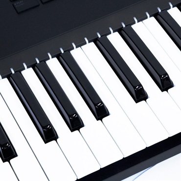 Native Instruments USED 中古 KOMPLETE KONTROL S61 MK2(KKS61)(ネイティブインストゥルメンツ)(MIDIキーボード)(MIDIコントローラー) 画像2