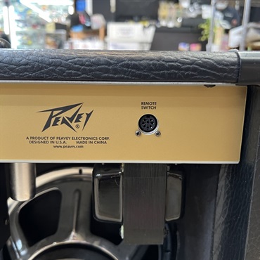 PEAVEY USED 中古 Vypyr Tube 120 Combo w/ Sanpera II 画像4