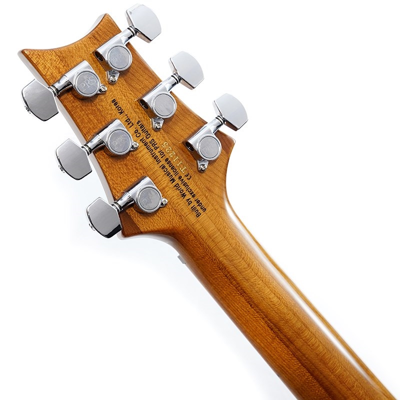 YOKOYAMA GUITARS AR-GCW 