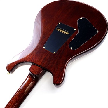 P.R.S. 2024 Custom 24 10top (Orange Tiger ) SN.0378507 画像6