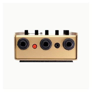 L.R.Baggs 【国内300台限定モデル】50th Anniversary Gold Para D.I. 画像2