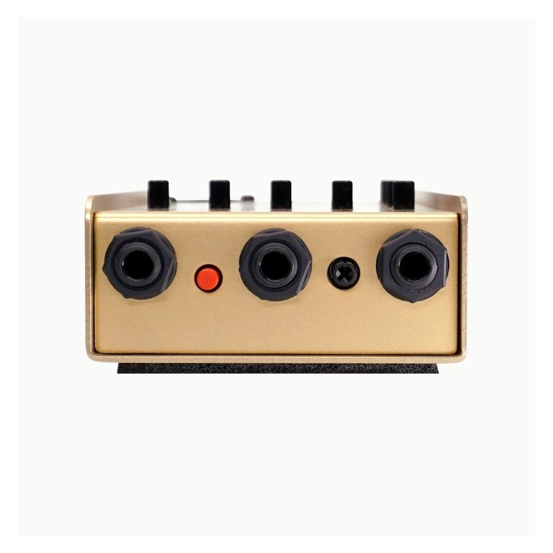 L.R.Baggs 【国内300台限定モデル】50th Anniversary Gold Para D.I. 画像2