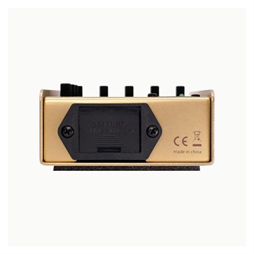 L.R.Baggs 【国内300台限定モデル】50th Anniversary Gold Para D.I. 画像3