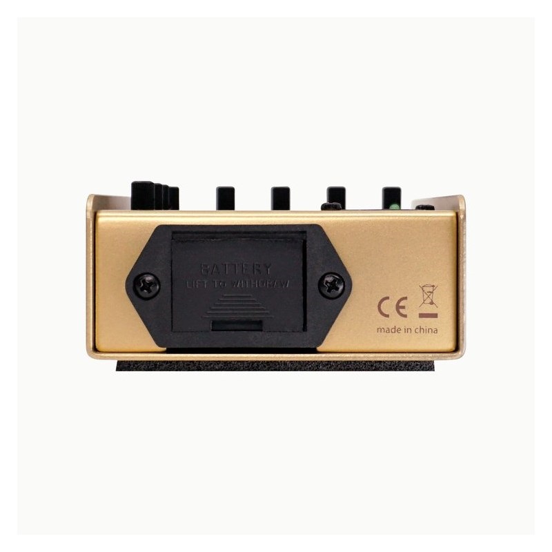 L.R.Baggs 【国内300台限定モデル】50th Anniversary Gold Para D.I. 画像3