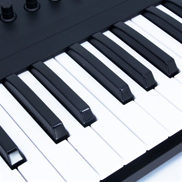 Native Instruments USED 中古 KOMPLETE KONTROL A49 画像2
