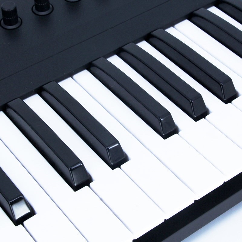 Native Instruments USED 中古 KOMPLETE KONTROL A49 画像2