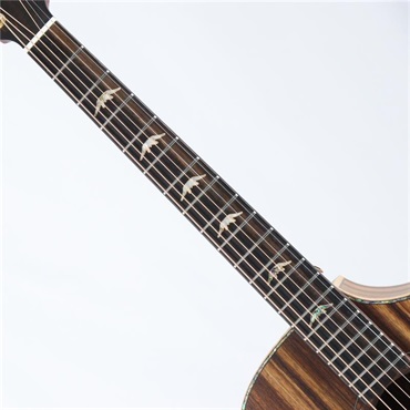Bromo Guitars ROCKY SERIES BAR4GCE ブロモ 画像6