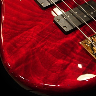 Knooren 【USED】 KN4 Fretless (Flamed Japanese Tochi Top / T-Red) 画像3