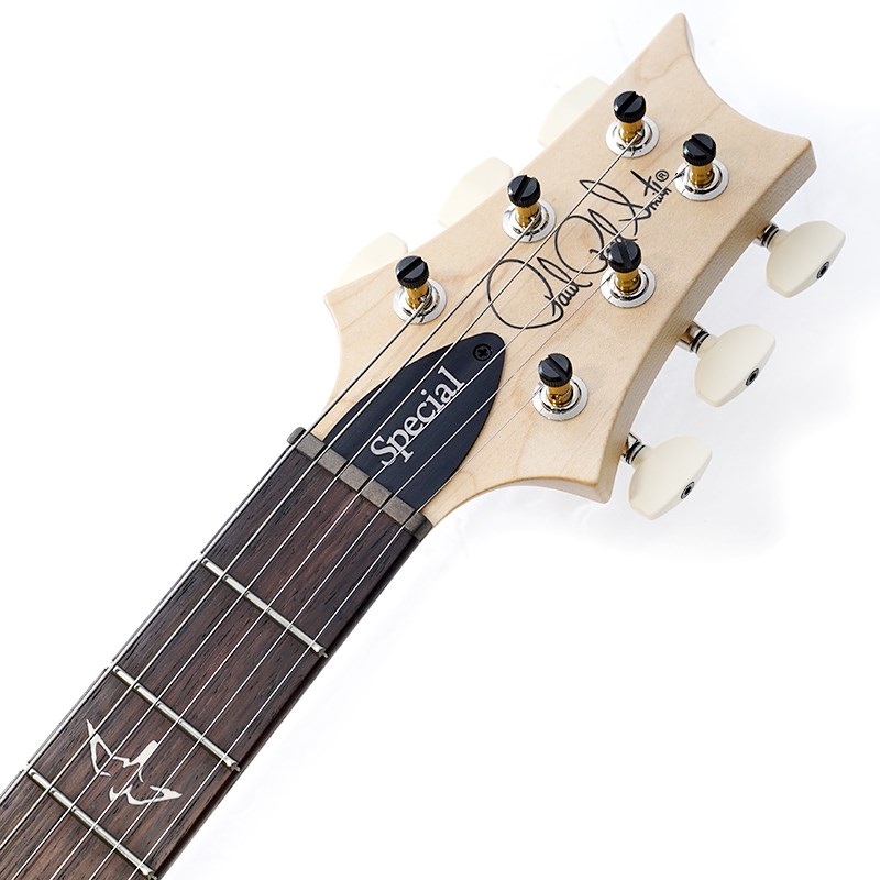 P.R.S. Swamp Ash Special (McCarty Tobacco Sunburst) SN.0403693 画像8