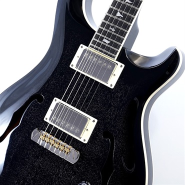 P.R.S. SE Hollowbody Standard (Dog Hair Smokeburst) 画像3