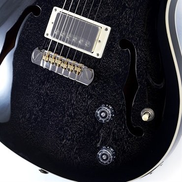 P.R.S. SE Hollowbody Standard (Dog Hair Smokeburst) 画像4