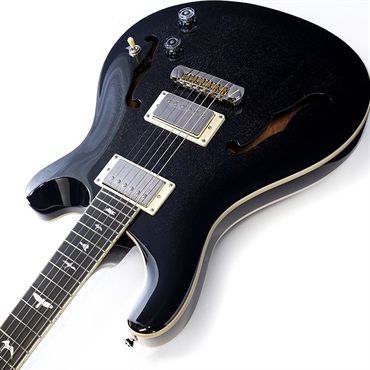 注目ショップ・ブランドのギフト P.R.S. SE ｜イケベ Smokeburst) Hair (Dog Standard Hollowbody ギター