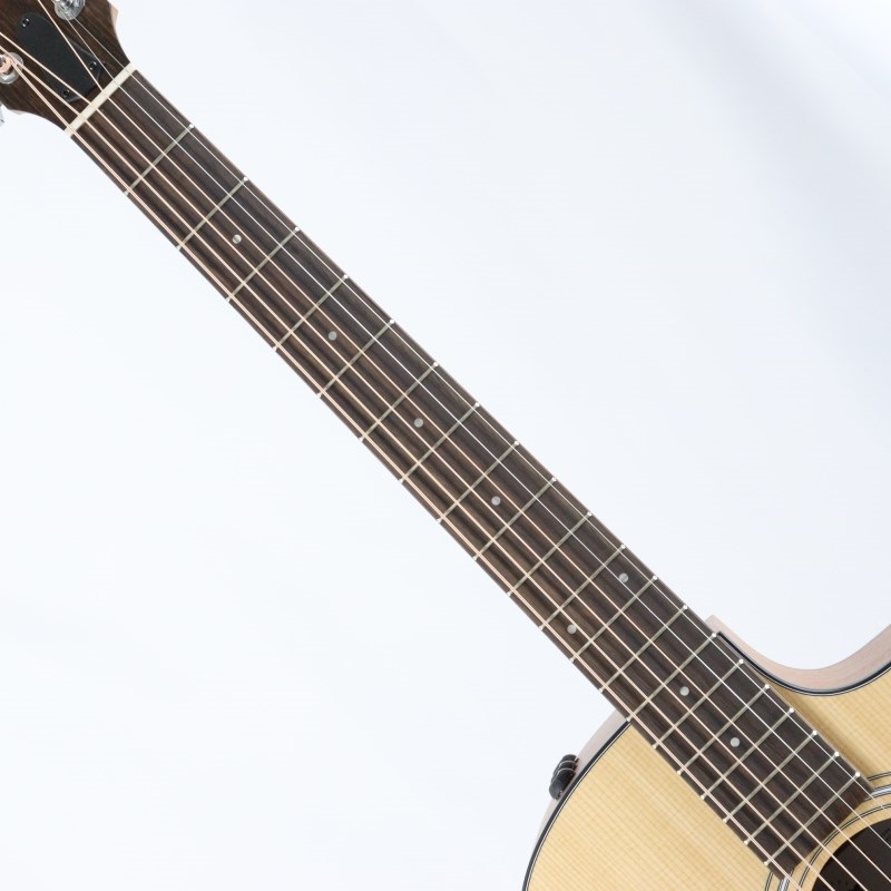 TAYLOR 【特価】【創業50周年大決算SALE】 114ce-S テイラー 画像6