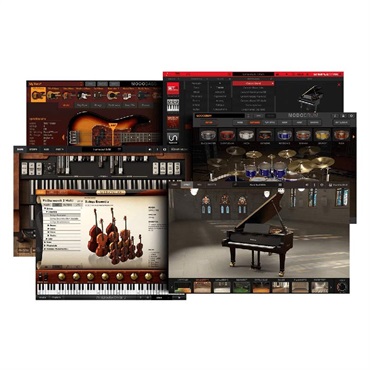 IK Multimedia Total Studio 5 MAX Upgrade (オンライン納品)(アイケーマルチメディア)(トータルスタジオ)(アップグレード) 画像3