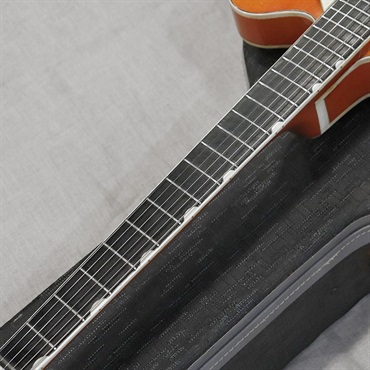 GRETSCH VINTAGE 6120 Chet Atkins Nashville '65 画像8