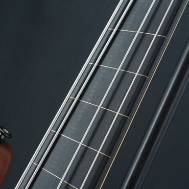 Bacchus USED 中古 WOODLINE4 HOLLOW FL-BC WSE'22 (NA-MAT) 画像8