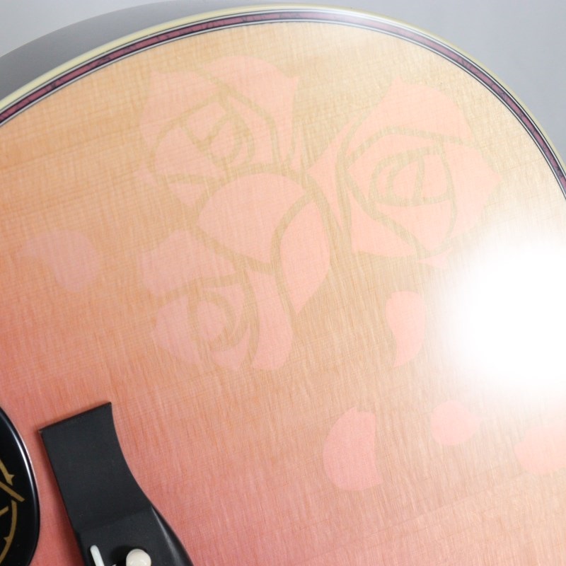 Headway HD-ROSE CUSTOM/ATB 【イケベ楽器店創業50周年記念限定モデル】 ヘッドウェイ 画像9