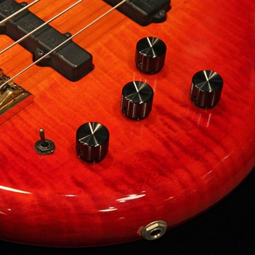 PEDULLA 【USED】 Buzz/PJ (Amber Sunburst) '06 画像4