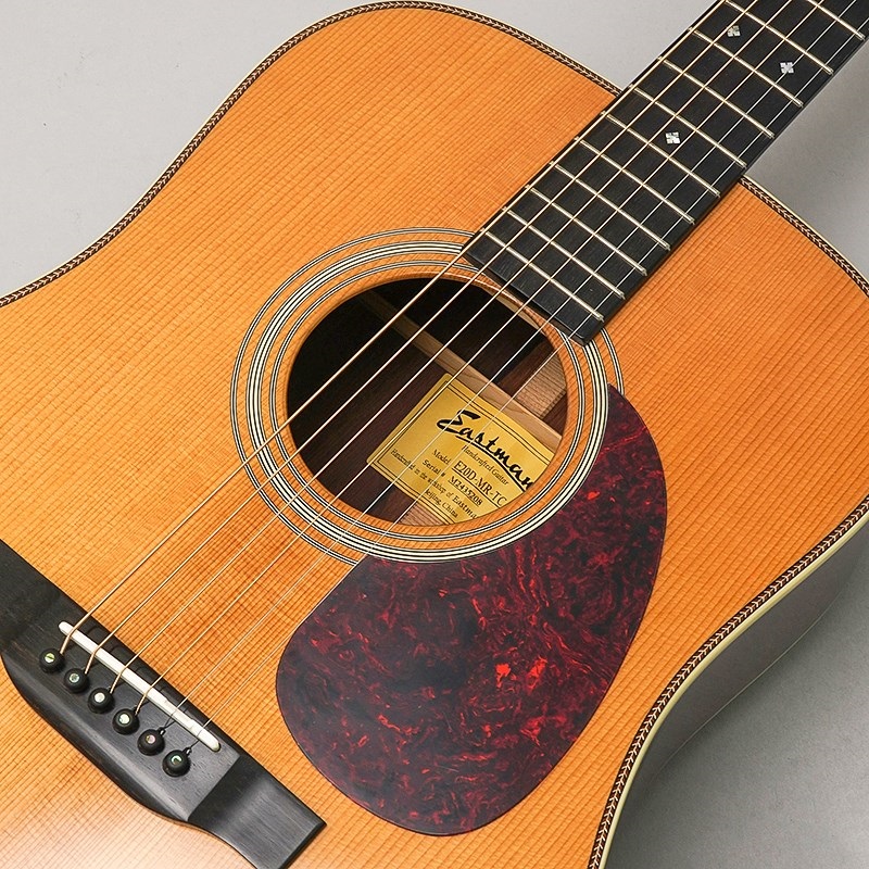 な*片様 Eastman E20D-MR-TC （イーストマンギター）極微品 EASTMAN イーストマン E20D-MR-TC アコースティックギター 送料無料