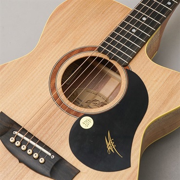 MATON PERFORMER メイトン ｜イケベ楽器店オンラインストア