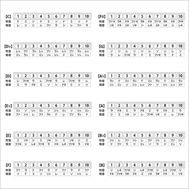 ARIA AH-10 G テンホールズハーモニカ 画像1