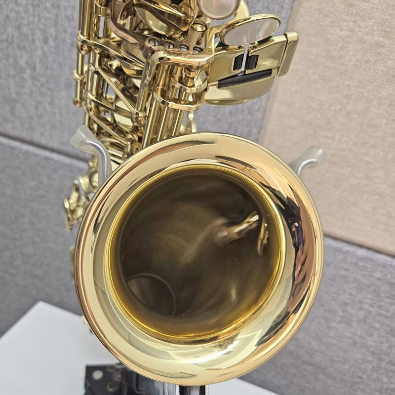 Selmer Paris USED 中古 セルマー アルトサックス SA-80II w/e GL GP-TONE S/N:579xx3 【調整&セットアップ後出荷】【5年間キーバランス調整無料】 画像4