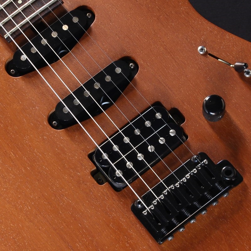 SAITO Guitars 【USED】S-Series S-622 Extraordinary (H.M