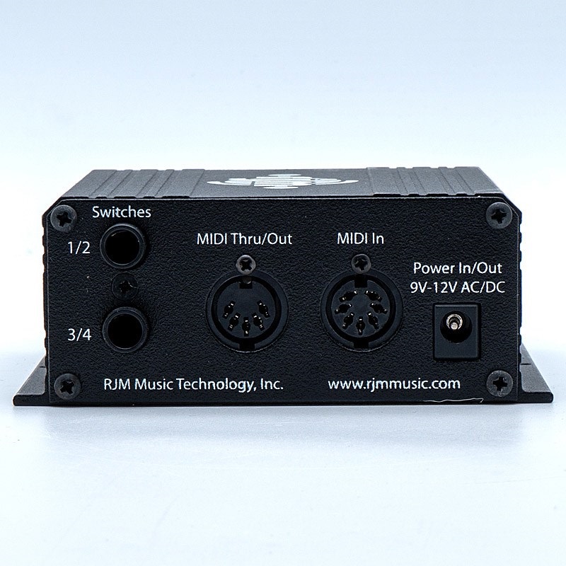 Mini Effect Gizmo | RJM Music Technology, Inc.