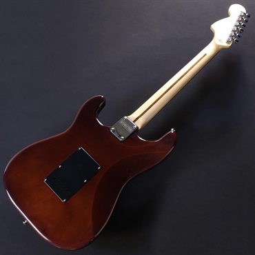 SCHECTER PS-ST-DH/GWN/R [SPOT MODEL] #S231101 画像5