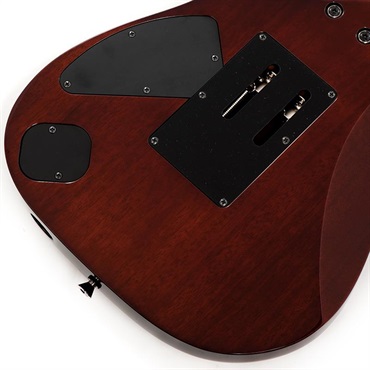 Ibanez j.custom RG8570-BSR (Brownish Sphalerite) [SPOT MODEL] SN.F2422054 画像7