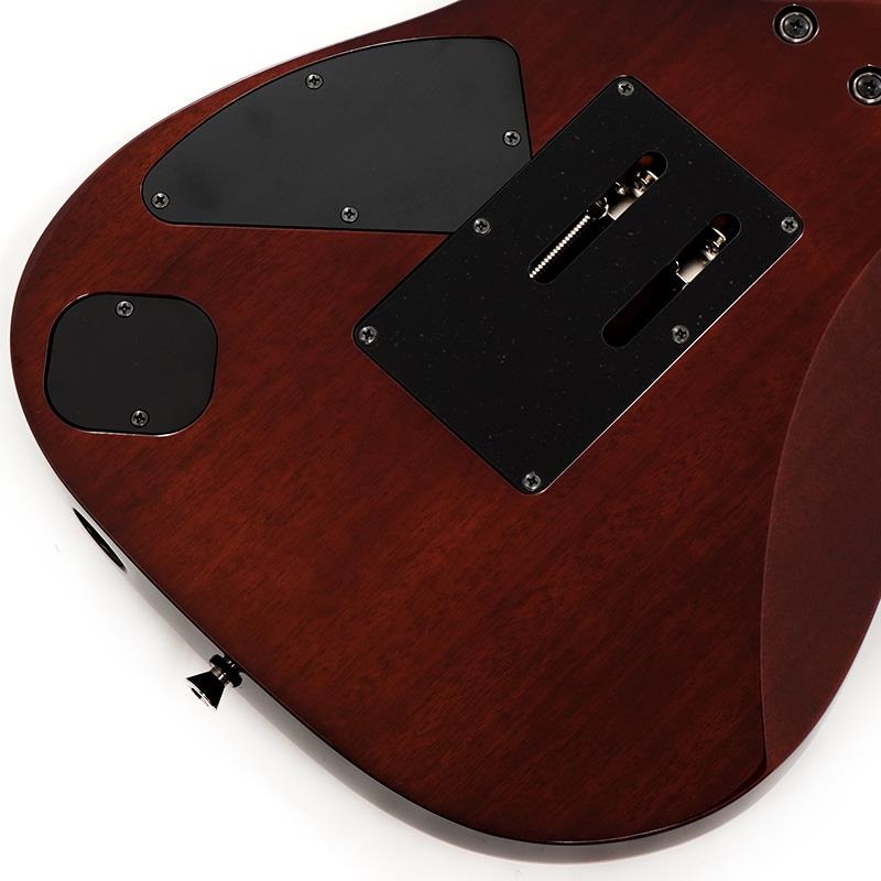 Ibanez j.custom RG8570-BSR (Brownish Sphalerite) [SPOT MODEL] SN.F2422054 画像7