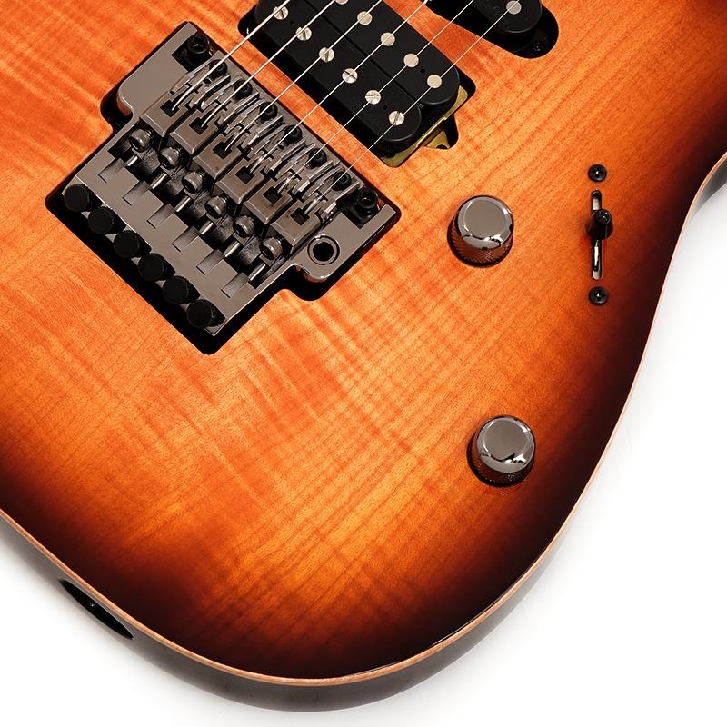 Ibanez j.custom RG8570-BSR (Brownish Sphalerite) [SPOT MODEL] SN.F2422056 画像4